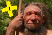 Neanderthal Museum